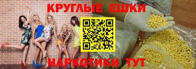 твердый Кингисепп