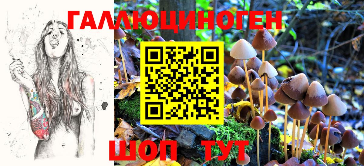 Псилоцибиновые грибы Magic Shrooms Коркино