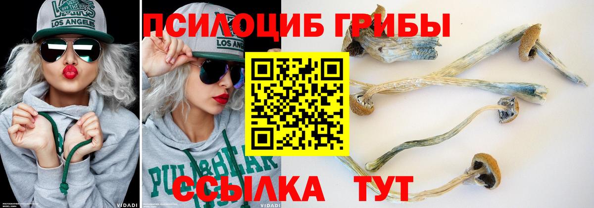 Галлюциногенные грибы Psilocybine cubensis  Вход с VPN  Коркино  Псилоцибиновые грибы Magic Shrooms 
